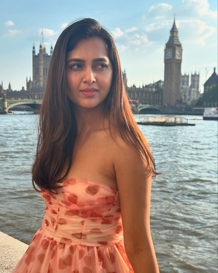 Rubert Mesh Detail Party Dress In Peach