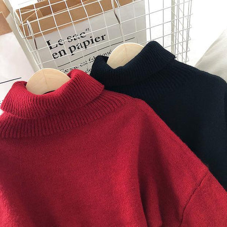 Lepsa Belted Dress / Sweater - Alamode By Akanksha