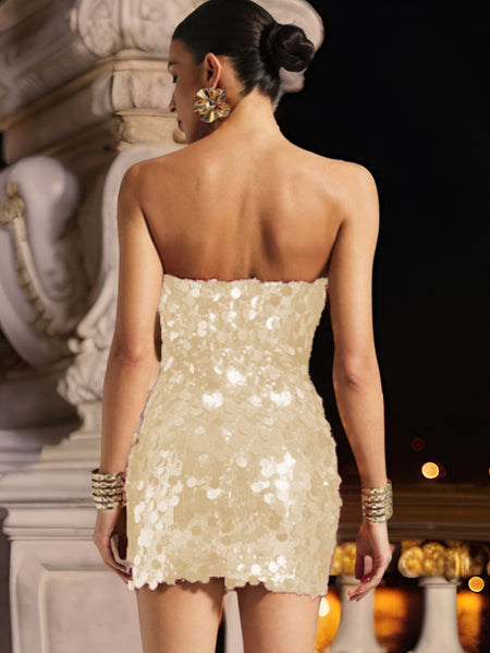 Tamsin Tube Sequin Mini Dress