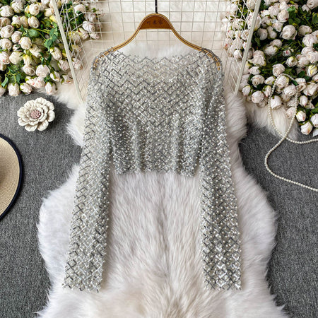 Zinia Mesh Sequined Crop Top