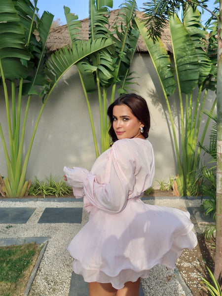 Olio Rose Ruffle Mini Dress