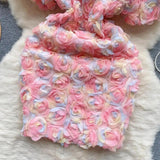 Laurel 3D Floral Dress - Alamode By Akanksha