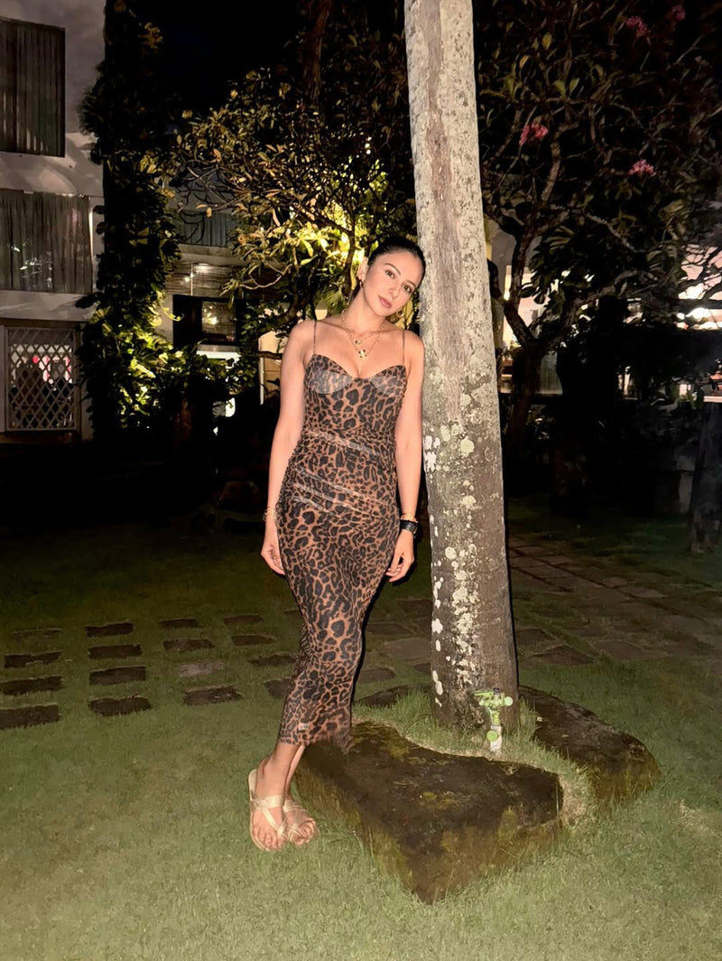 Leopard Print Bodycon Midi Dress In Brown
