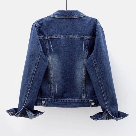 Bernard Classic Denim Jacket - back shot on hanger, blue - Miss Mosa By Akanksha