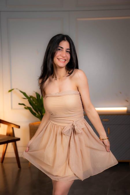 Galliana Strapless Mesh Dress In Beige - front shot on model, beige - Miss Mosa By Akanksha