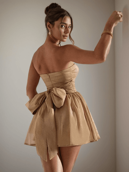 Galliana Strapless Mesh Dress In Beige - back shot on model, beige - Miss Mosa By Akanksha