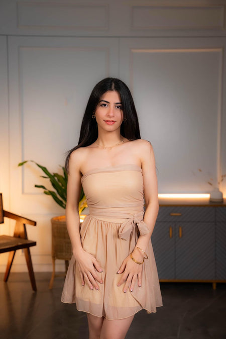 Galliana Strapless Mesh Dress In Beige - front shot on model, beige - Miss Mosa By Akanksha