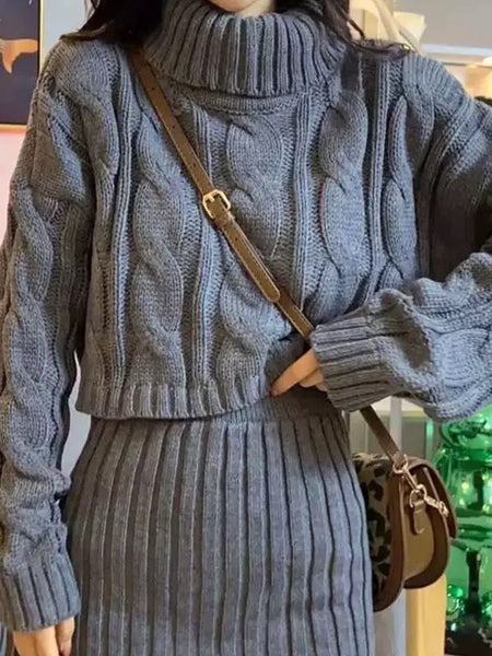 Vienna Premium Winter Skirt Coord Set In Grey