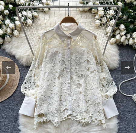 Pilbury Luxury Lace Blouse In Beige - flat-lay product shot of the lace blouse - Miss Mosa By Akanksha