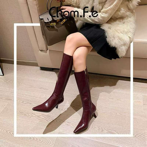 Rolf Knee Leather Boots In Wine