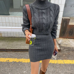 Vienna Premium Winter Skirt Coord Set - front shot on model outdoors, charcoal - Miss Mosa By Akanksha