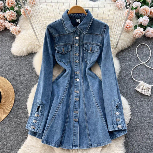 Saoirse Denim Dress - Alamode By Akanksha