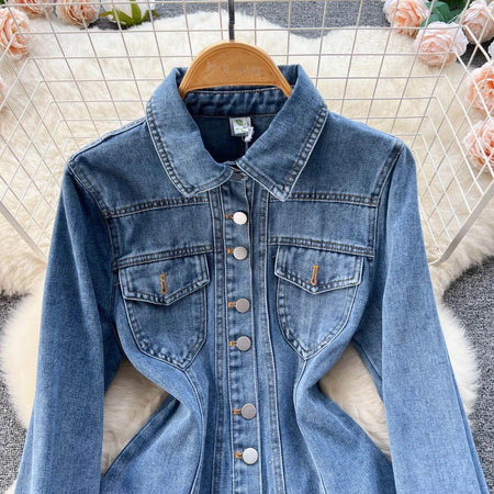Saoirse Denim Dress - Alamode By Akanksha