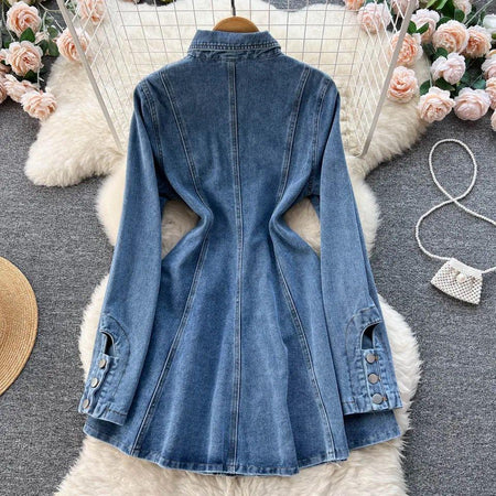 Saoirse Denim Dress - Alamode By Akanksha