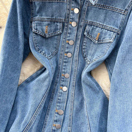 Saoirse Denim Dress - Alamode By Akanksha