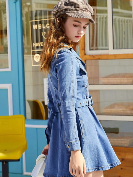 Sylvie Denim Dress - Alamode By Akanksha
