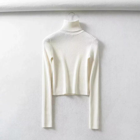 Neon Jumpers - Flat 50% Off - Alamode By Akanksha