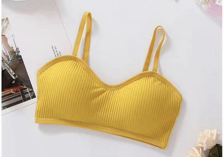 Vinyl Bralettes (Removable Pads) - Alamode By Akanksha