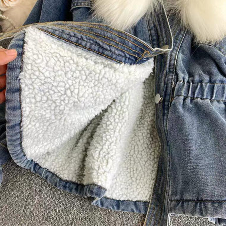 Brodel Denim Jacket - Alamode By Akanksha